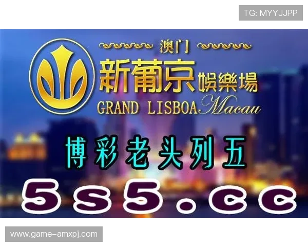 澳门新葡京手机官方地址官方入口指南,轻松找到正规登录渠道享受优质娱乐体验
